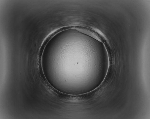 X0000085781364200703231236