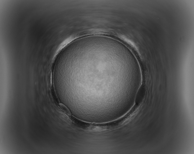 X0000085781365200703231236