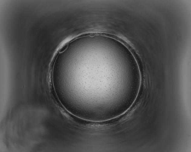 X0000085781366200703231236