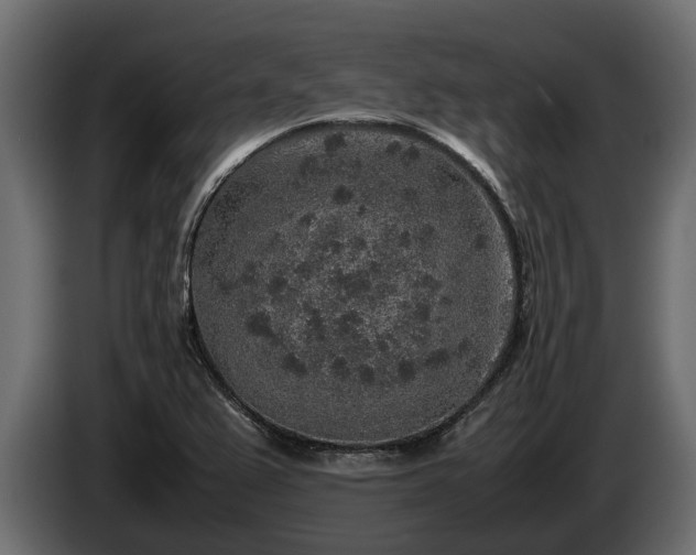 X0000085781367200703231236