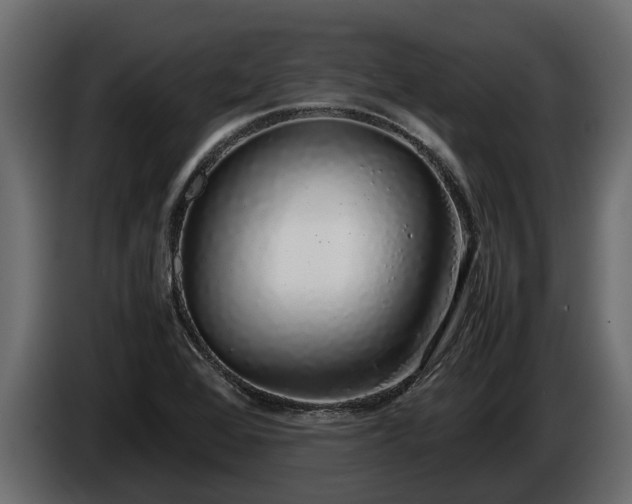 X0000085781368200703231236