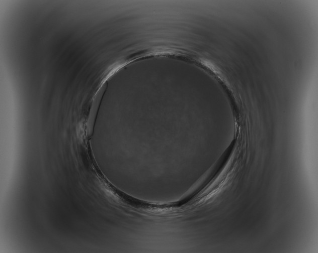 X0000085781369200703231236