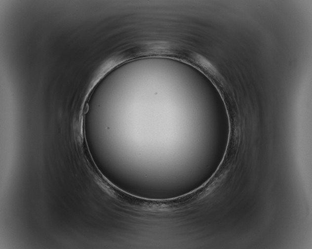 X0000085781370200703231236