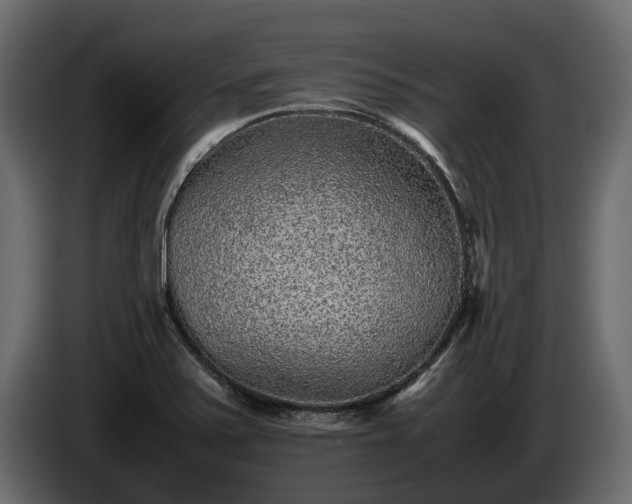 X0000085781371200703231236