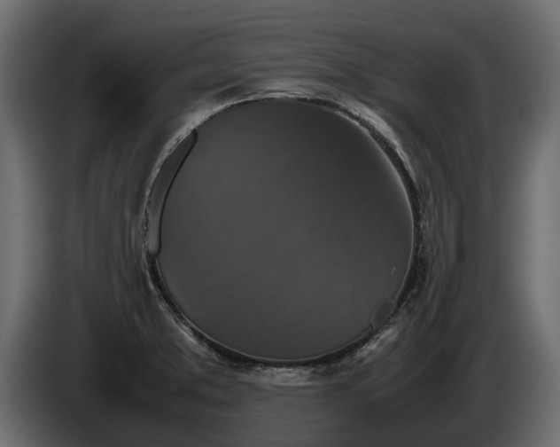 X0000085781373200703231236