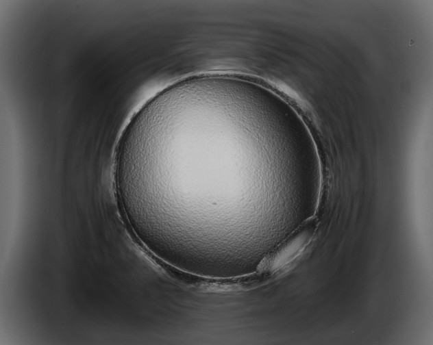 X0000085781374200703231236