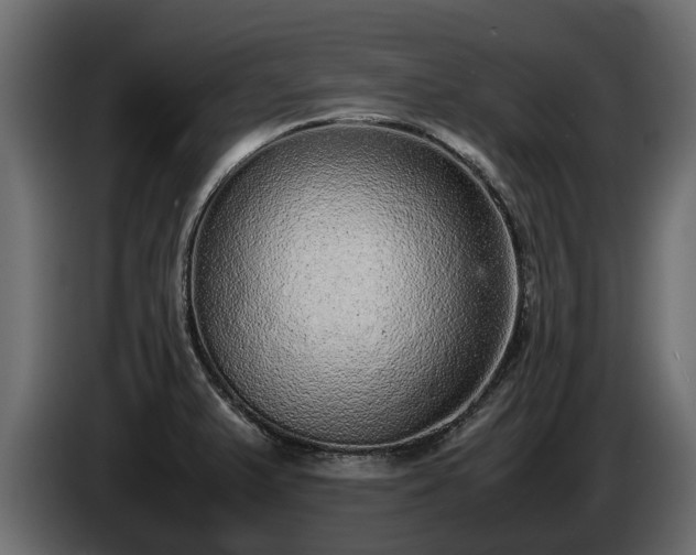 X0000085781375200703231236