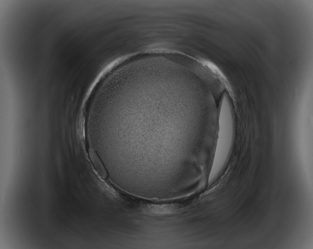 X0000085781376200703231236