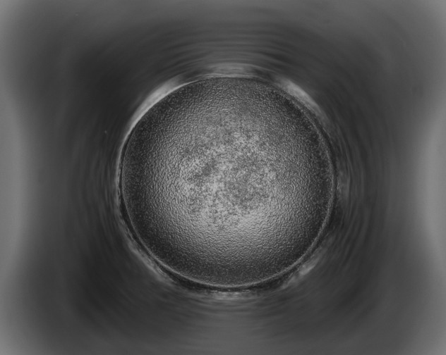 X0000085781378200703231236