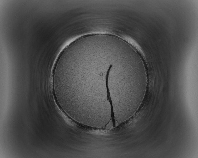 X0000085781380200703231236