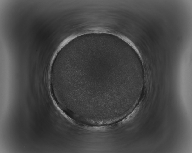 X0000085781381200703231236