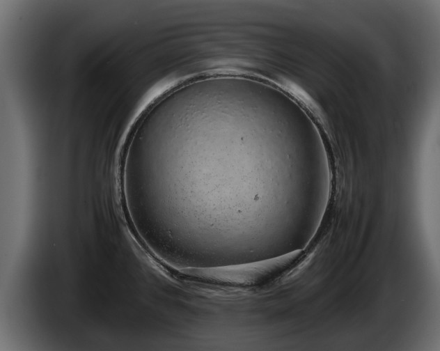 X0000085781384200703231236