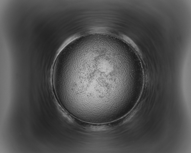 X0000085781386200703231236