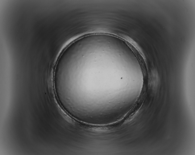 X0000085781388200703231236