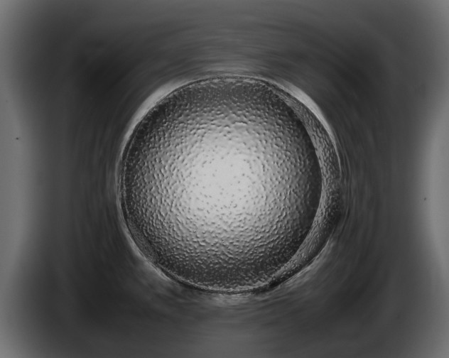 X0000085781389200703231236