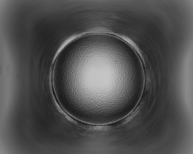 X0000085781390200703231236