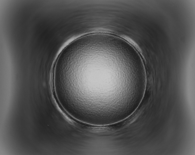 X0000085781391200703231236