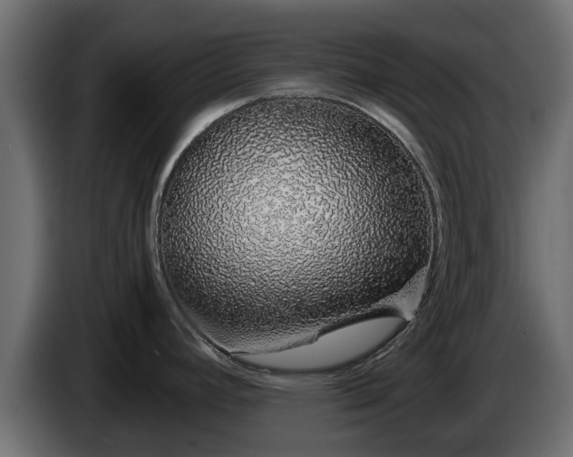 X0000085781392200703231236