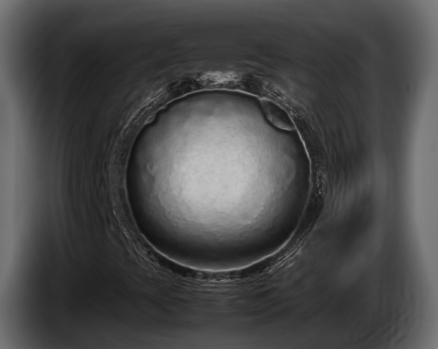 X0000085781393200703231235