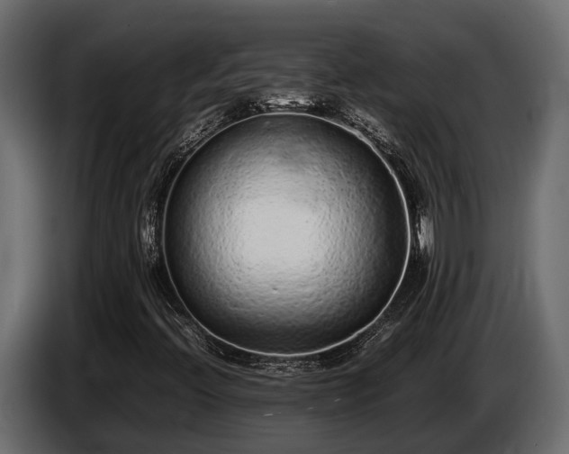 X0000085781396200703231235