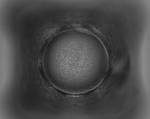 X0000085781397200703231235