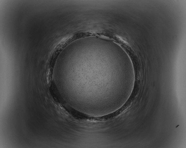 X0000085781398200703231235