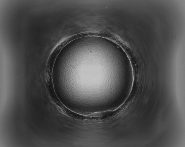 X0000085781400200703231235