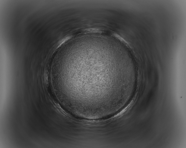 X0000085781401200703231235