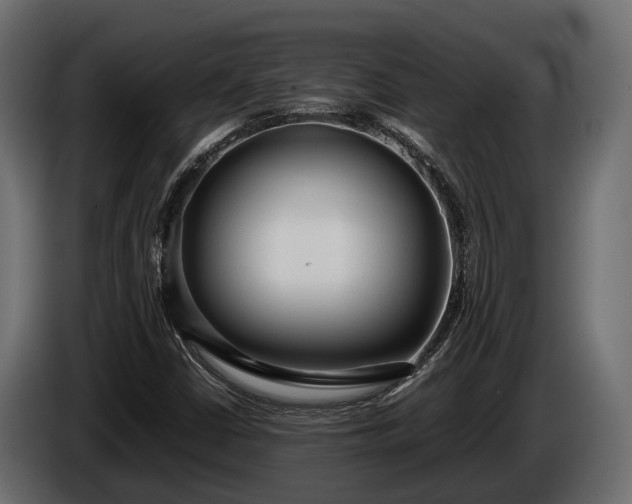 X0000085781402200703231235