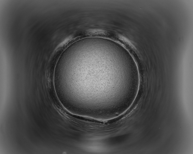 X0000085781403200703231235