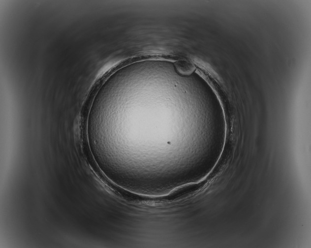 X0000085781404200703231235