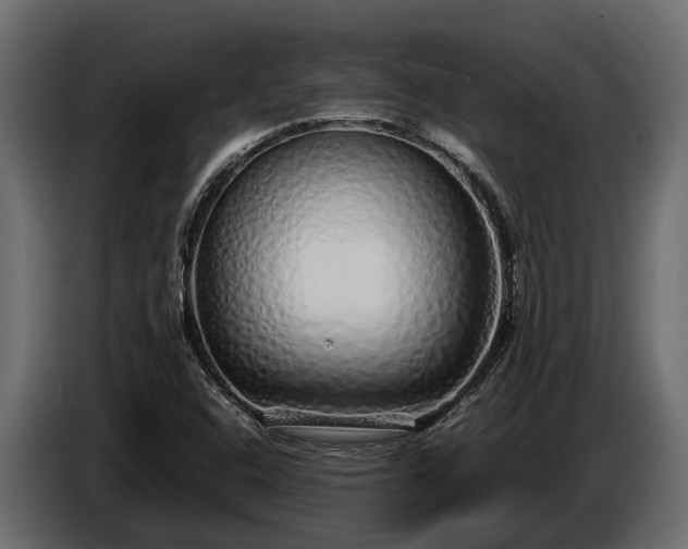 X0000085781408200703231235