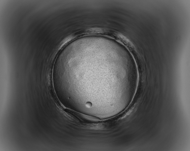 X0000085781409200703231235