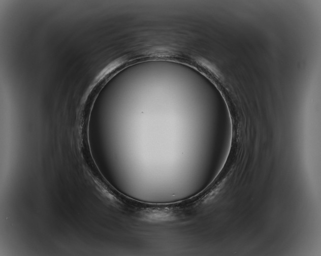 X0000085781410200703231235