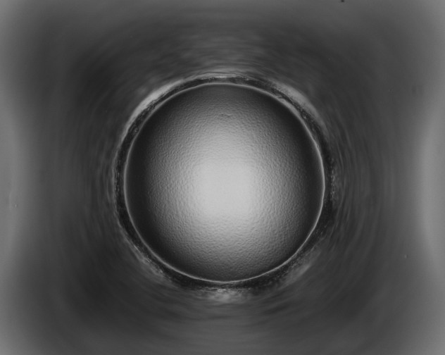 X0000085781412200703231235