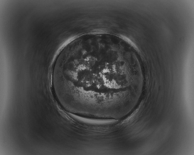 X0000085781413200703231235