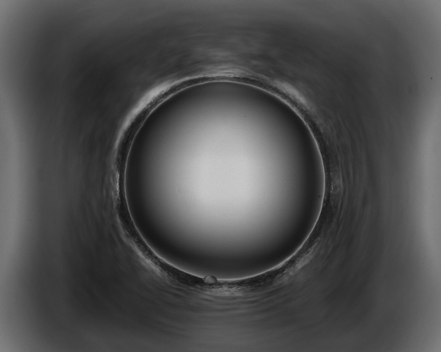 X0000085781414200703231235