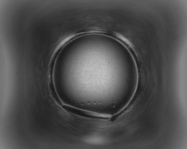 X0000085781415200703231235