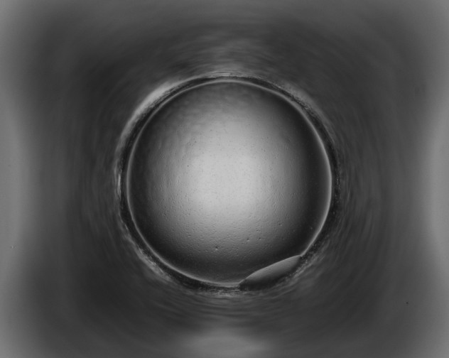 X0000085781416200703231235