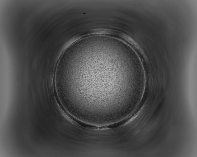 X0000085781417200703231235