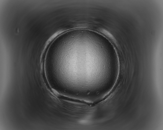 X0000085781419200703231235