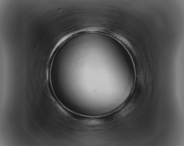 X0000085781420200703231235