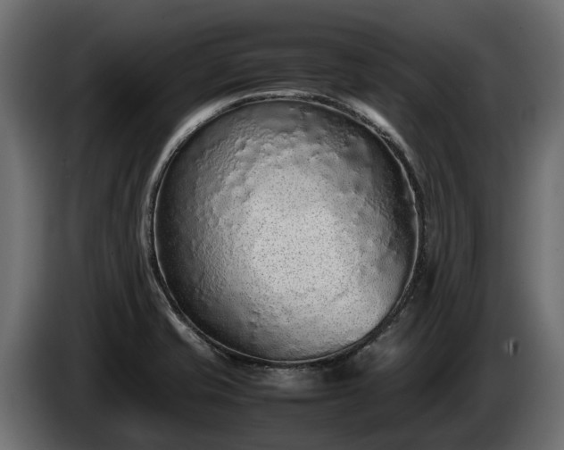 X0000085781421200703231235