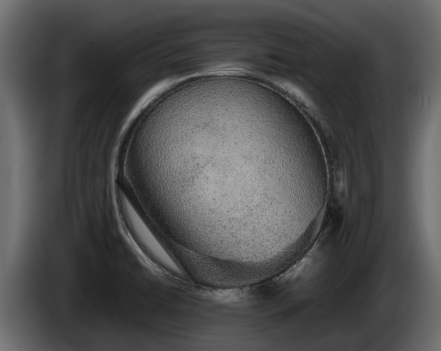 X0000085781422200703231235