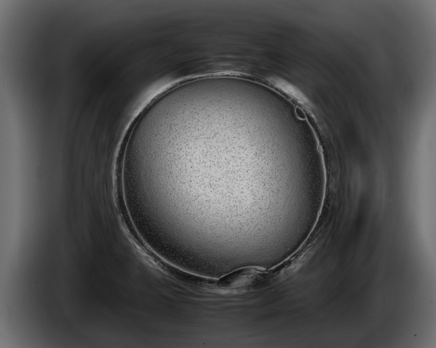 X0000085781423200703231235