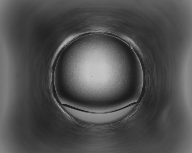 X0000085781424200703231235