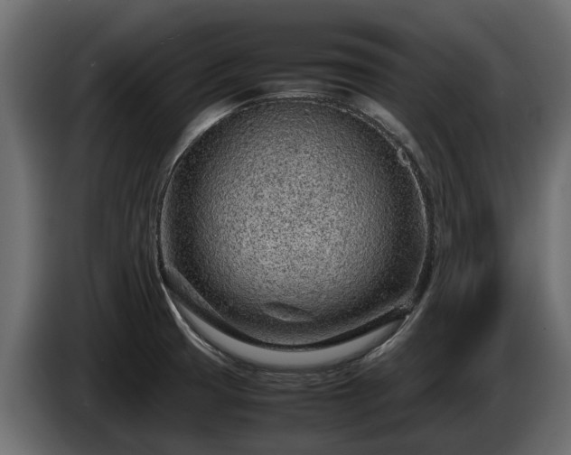 X0000085781425200703231235