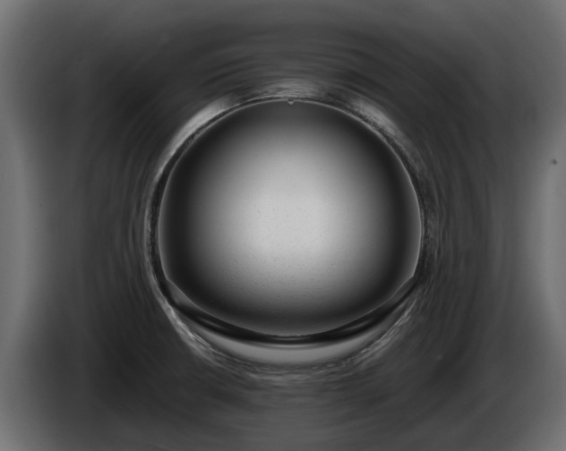 X0000085781426200703231235