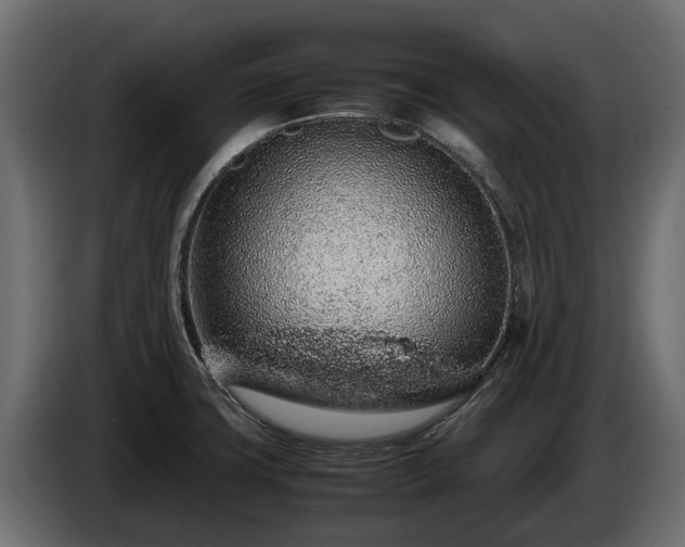 X0000085781427200703231235