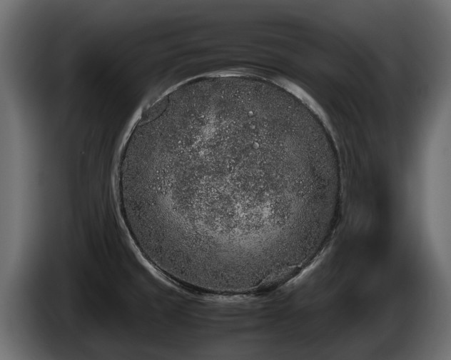 X0000085781429200703231235